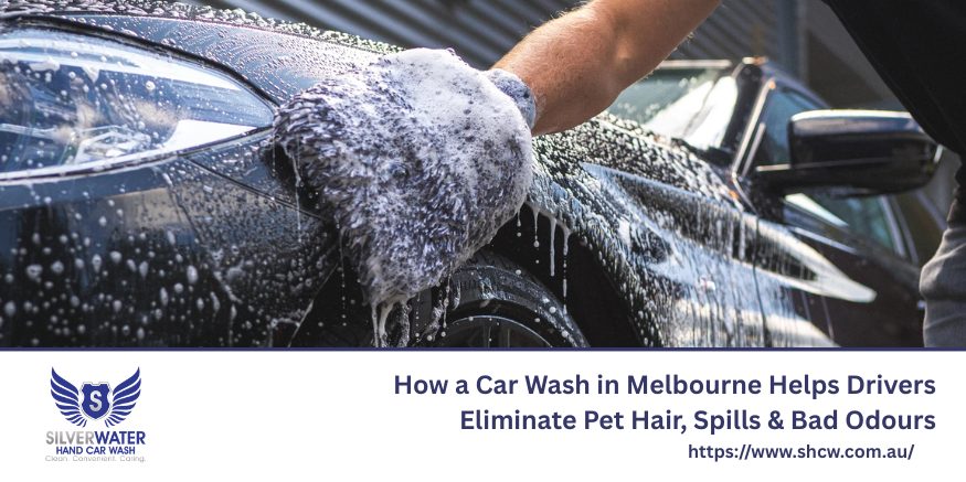 Professional car wash in Melbourne cleaning pet hair, spills, and bad odours from a vehicle interior with deep detailing services.